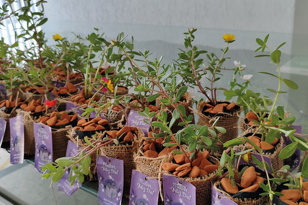 DiadaMulherTVRegionalBA7